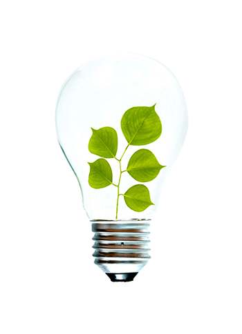 Small branch with leaves in light bulb